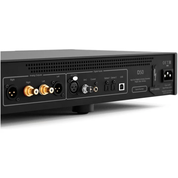 Hegel D50BackCloseup Hegel D50BackCloseup