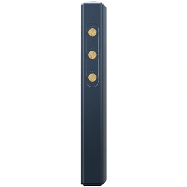 FiiO M21 zij 2