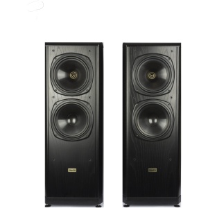 bouwe Tannoy D700 a Tannoy D 700 Staande luidsprekers - Occasion