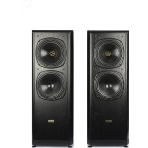 bouwe Tannoy D700 a Tannoy D 700 Staande luidsprekers - Occasion