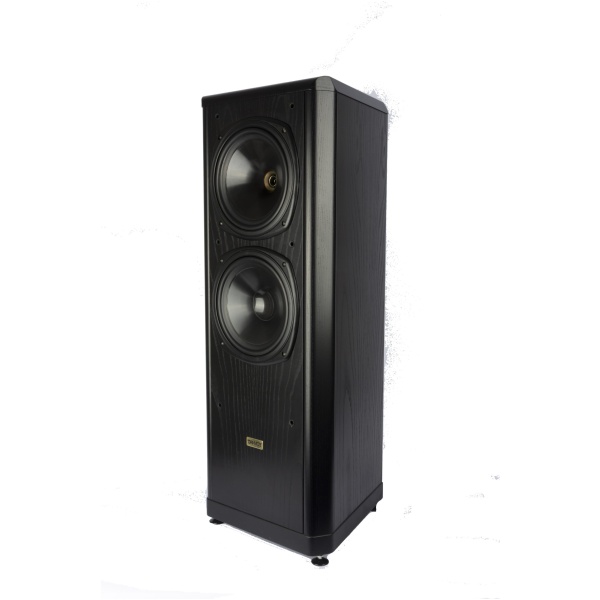 bouwe Tannoy D700 d Tannoy D 700 Staande luidsprekers - Occasion
