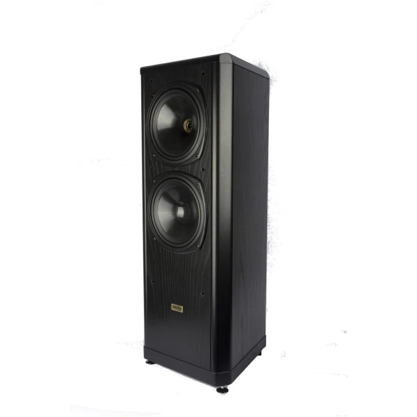 bouwe Tannoy D700 d Tannoy D 700 Staande luidsprekers - Occasion