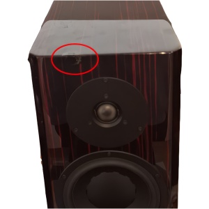damm dynaudio2 Dynaudio Special Forty Boekenkast Luidspreker - Demo beschadigd